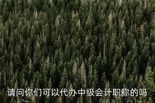 請問你們可以代辦中級會計職稱的嗎