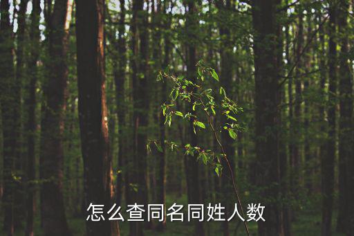 怎么查同名同姓人數