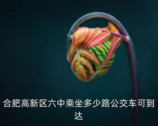 合肥高新區(qū)六中乘坐多少路公交車可到達