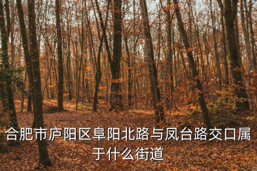 合肥市廬陽區阜陽北路與鳳臺路交口屬于什么街道