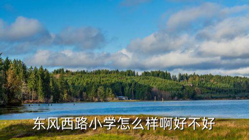 東風(fēng)西路小學(xué)怎么樣啊好不好