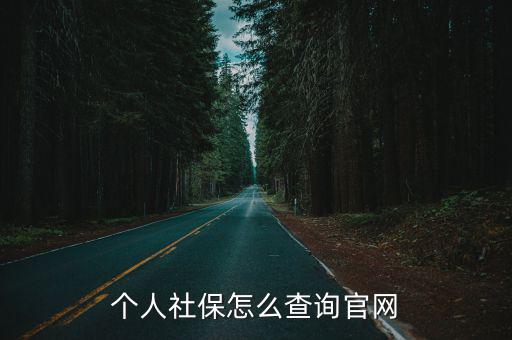 查社保，在網(wǎng)上可以查到社保信息嗎