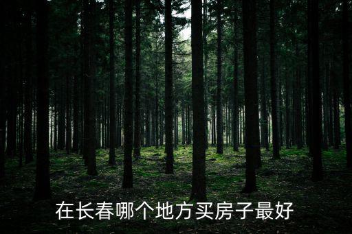 在長春哪個地方買房子最好