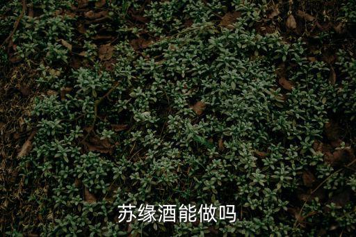 蘇緣，蘇緣酒能做嗎