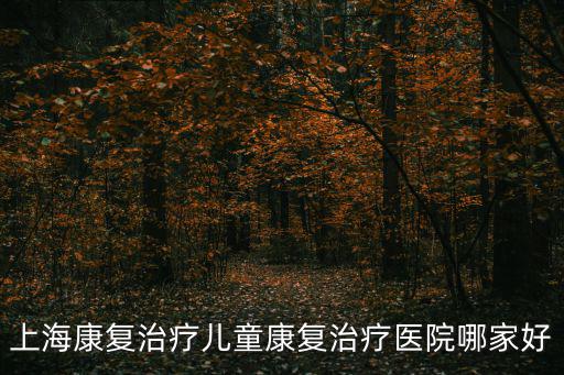 上海康復治療兒童康復治療醫院哪家好