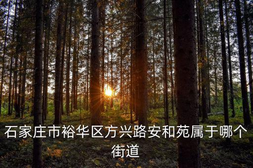 石家莊市裕華區方興路安和苑屬于哪個街道