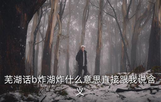 蕪湖話b炸湖炸什么意思直接跟我說含義