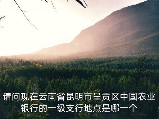 請問現在云南省昆明市呈貢區中國農業銀行的一級支行地點是哪一個