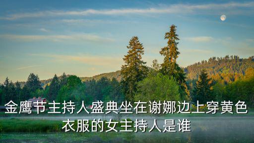 金鷹節主持人盛典坐在謝娜邊上穿黃色衣服的女主持人是誰