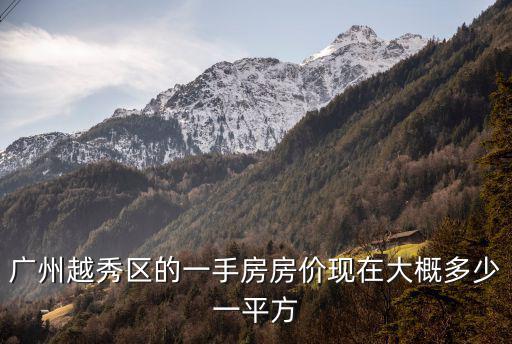 廣州越秀區的一手房房價現在大概多少一平方