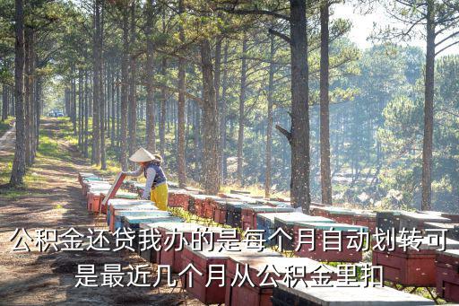 公積金還貸我辦的是每個月自動劃轉可是最近幾個月從公積金里扣