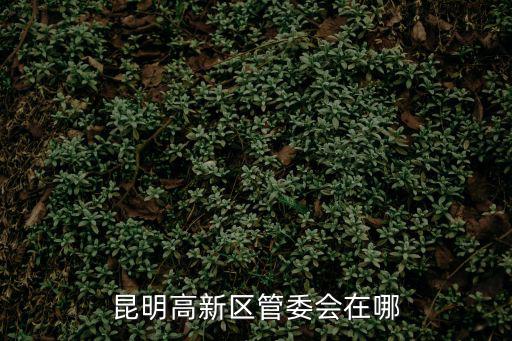 昆明高新區管委會在哪