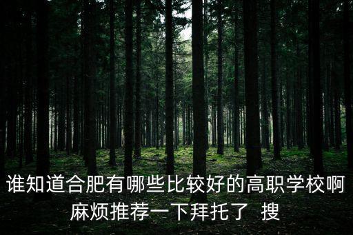 誰知道合肥有哪些比較好的高職學校啊麻煩推薦一下拜托了  搜