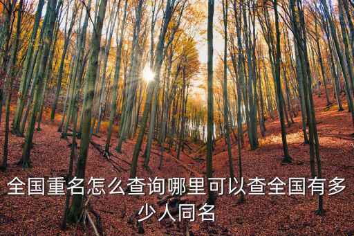 全國重名怎么查詢哪里可以查全國有多少人同名