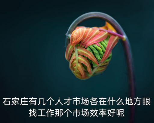 石家莊有幾個人才市場各在什么地方眼找工作那個市場效率好呢