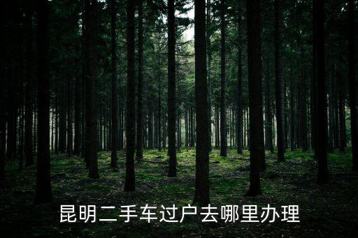 昆明二手車，昆明二手車哪個(gè)網(wǎng)站人氣旺