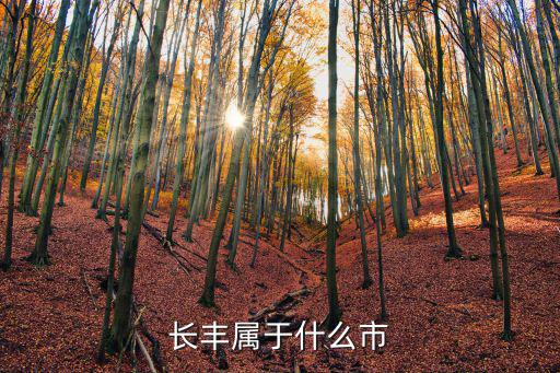 長豐屬于什么市