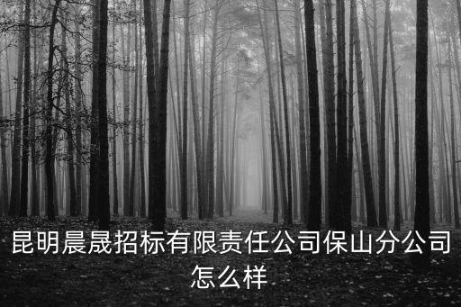 昆明晨晟招標有限責任公司保山分公司怎么樣
