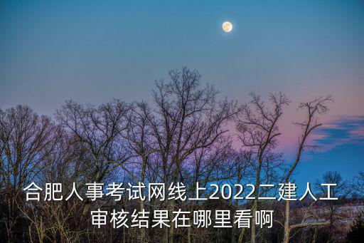 合肥人事考試網(wǎng)線上2022二建人工審核結(jié)果在哪里看啊