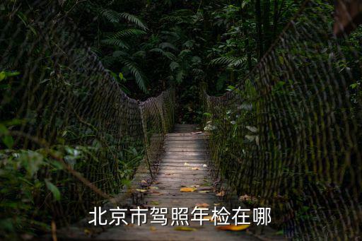 北京市駕照年檢在哪