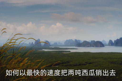 如何以最快的速度把兩噸西瓜銷出去