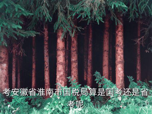 考安徽省淮南市國稅局算是國考還是省考呢