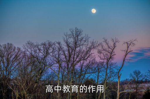 高中教育的作用