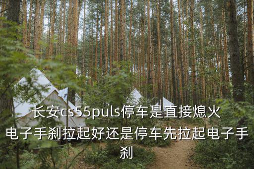 長安cs55puls停車是直接熄火電子手剎拉起好還是停車先拉起電子手剎