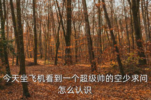 今天坐飛機看到一個超級帥的空少求問怎么認識