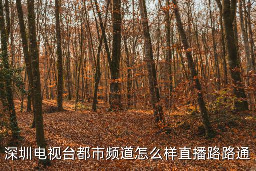 深圳電視臺都市頻道怎么樣直播路路通