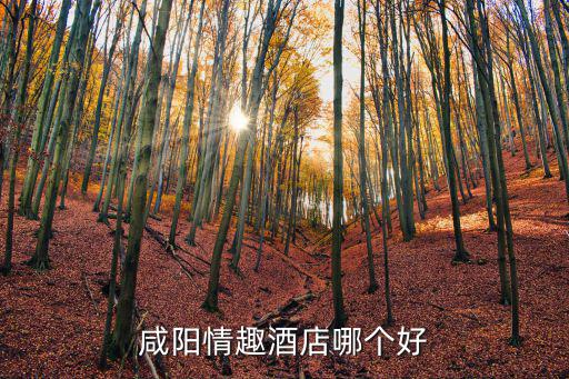 咸陽情趣酒店哪個好
