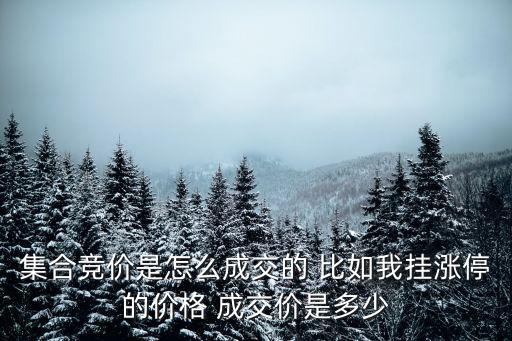 集合競價是怎么成交的 比如我掛漲停的價格 成交價是多少