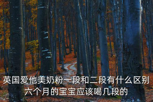 英國愛他美奶粉一段和二段有什么區(qū)別六個月的寶寶應該喝幾段的
