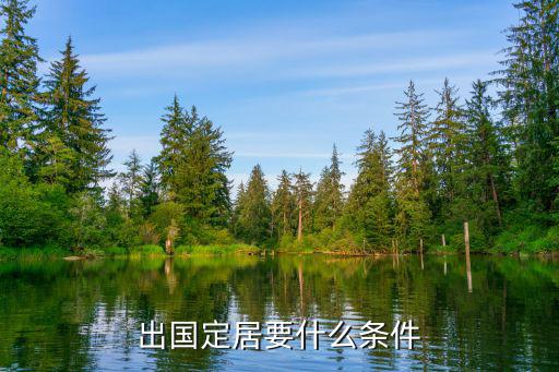出國定居要什么條件