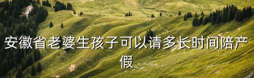 安徽省老婆生孩子可以請多長時間陪產(chǎn)假