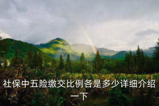 社保中五險繳交比例各是多少詳細介紹一下