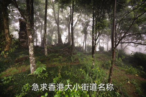 急求香港大小街道名稱