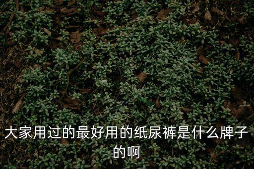 大家用過的最好用的紙尿褲是什么牌子的啊