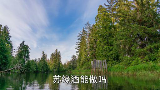 蘇緣酒能做嗎