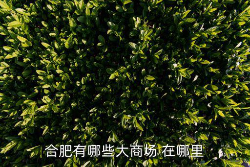 合肥商場，合肥有哪些大商場