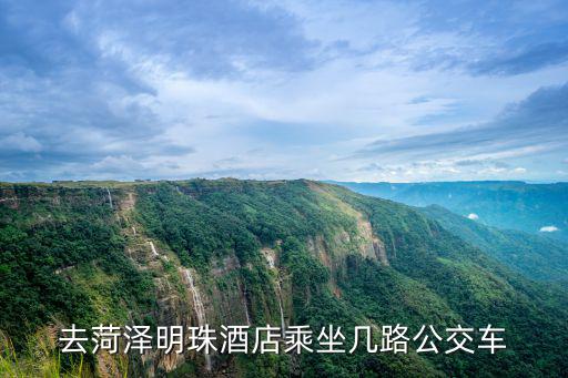 去菏澤明珠酒店乘坐幾路公交車