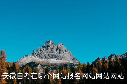 安徽自考在哪個網站報名網站網站網站