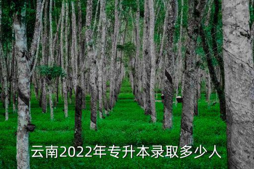 云南省專升本，云南2022年專升本錄取多少人