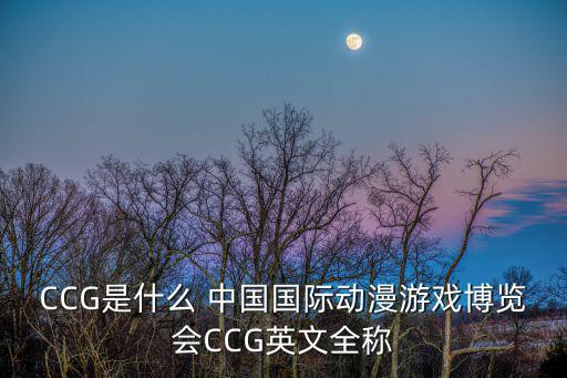 CCG是什么 中國國際動漫游戲博覽會CCG英文全稱
