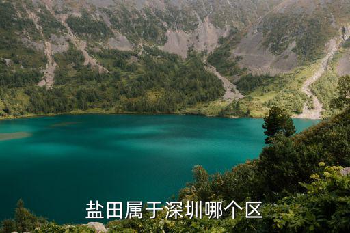 鹽田屬于深圳哪個區(qū)