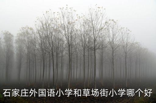 石家莊外國語小學和草場街小學哪個好