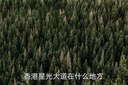 香港星光大道，香港星光大道在什么地方