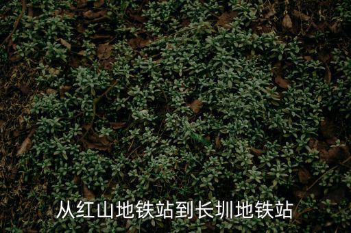 從紅山地鐵站到長圳地鐵站