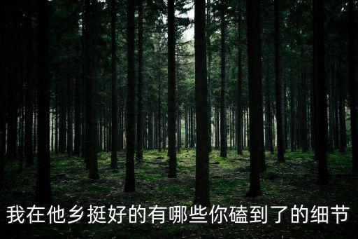 我在他鄉(xiāng)挺好的有哪些你磕到了的細節(jié)