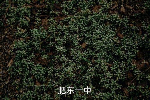 肥東一中
